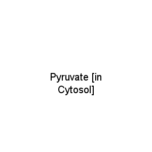 Pyruvate [in Cytosol]